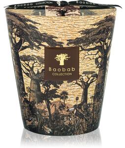 Baobab Collection Sacred Trees Mankono mirisna svijeća 1100 g