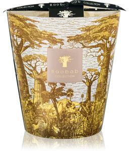 Baobab Collection Sacred Trees Bounkani mirisna svijeća 1100 g