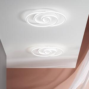 Luce Ambiente Design Cayman Ovalna LED zidna svjetiljka, bijela, visina 60 cm, metal, CCT, Bijela, Dnevni boravak/blagovaonica, Metal