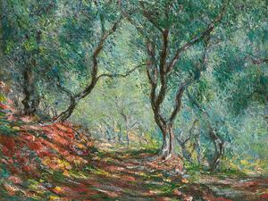 Reprodukcija Olive Trees in the Moreno Garden (1884), Claude Monet