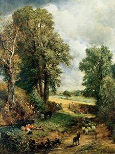 Reprodukcija The Cornfield (1826), John Constable