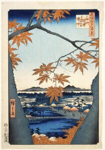 Reprodukcija Maples leaves at Mama, Hiroshige Utagawa