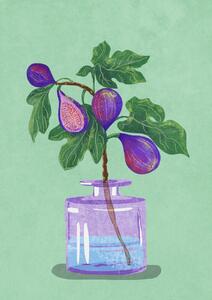 Ilustracija Figs Branch In Vase, Raissa Oltmanns, (30 x 40 cm)