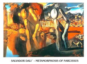 Umjetnički tisak Metamorphosis of Narcissus, 1937, Salvador Dalí, (80 x 60 cm)