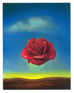 Umjetnički tisak Meditative Rose, 1958, Salvador Dalí