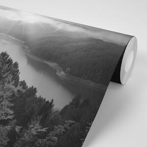 Fototapeta rijeka usred šume u crno-bijelom dizajnu
