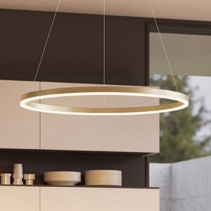 Arcchio Albiona LED viseća svjetiljka, bež, 1 prsten, Ø 80 cm, prigušiva, Bež, Kuhinja, Metal
