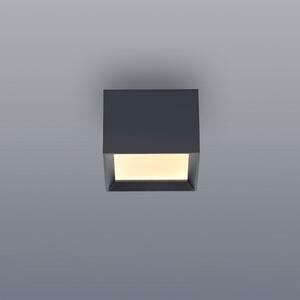 PURE Manhattan LED stropna svjetiljka, mistično siva, s jednim sijalicom, CCT, prigušiva, Sivo, Područje hodnika, Aluminij