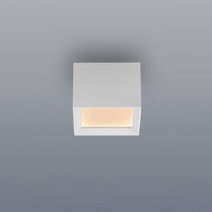 PURE Manhattan LED stropna svjetiljka, snijeg, jednobulbna, CCT, prigušiva, Bijela, Područje hodnika, Aluminij