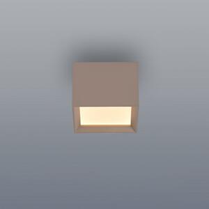 PURE Manhattan LED stropna svjetiljka, bronca, jednolampa, CCT, prigušiva, Bronca / stari mesing, Područje hodnika, Aluminij