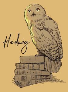 Umjetnički plakat Harry Potter - Hedwig, (26.7 x 40 cm)