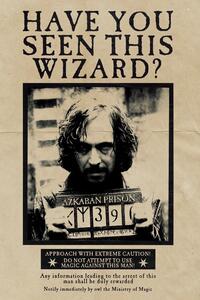Umjetnički plakat Harry Potter - Wanted Sirius Black, (26.7 x 40 cm)