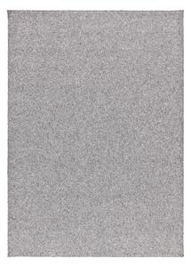 Svijetlo sivi tepih 80x150 cm Petra Liso – Universal