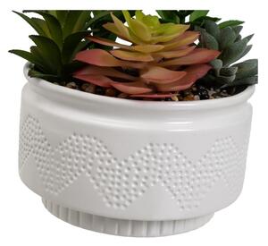 Umjetne biljke u setu 2 kom (visina 19 cm) Cactus – Casa Selección