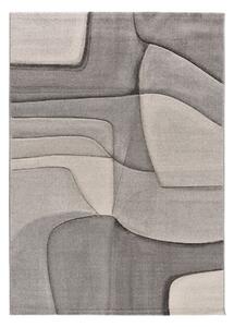Sivi tepih 160x230 cm Medel – Universal