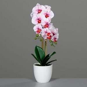 Bijelo-ružičasta orhideja 53 cm u bijeloj posudi