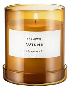 Mirisna svijeća od sojinog voska vrijeme gorenja 45 h Valoa Autumn – Blomus
