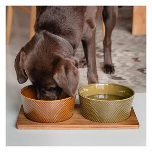Keramička zdjela za hranu za ljubimce za pse ø 15 cm Avocado S – Cloud7