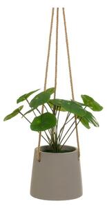 Umjetna biljka (visina 24 cm) Pilea – Casa Selección