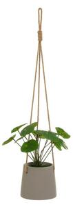 Umjetna biljka (visina 24 cm) Pilea – Casa Selección