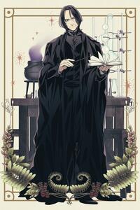 Ilustracija Harry Potter - Snape in his habitat