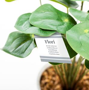 Umjetna biljka (visina 23 cm) Flori Pilea – AmeliaHome