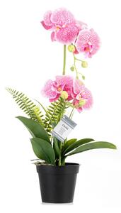 Umjetna biljka (visina 55 cm) Orchid – AmeliaHome