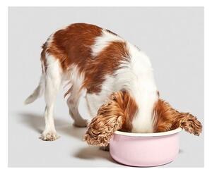 Zdjela za hranu za ljubimce za pse ø 18 cm Granny M – Cloud7