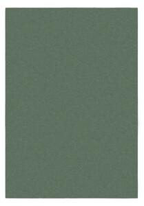 Zeleni tepih 120x170 cm – Flair Rugs
