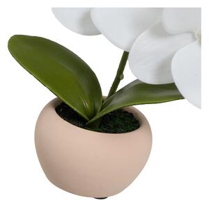 Umjetne biljke u setu 3 kom (visina 15 cm) Orchid – Casa Selección