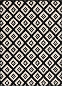 Crno-bijeli tepih 80x120 cm Avanti – FD