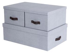 Svijetlo sive kartonske kutije za pohranu u setu 3 kom s poklopcem 31x47x15 cm Inge – Bigso Box of Sweden