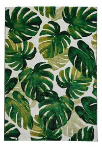 Tamno zeleni tepih 120x170 cm Havana – Think Rugs