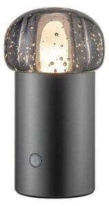 LED vanjska svjetiljka s mogućnosti zatamnjivanja s USB ø 10 cm Iris – Blomus