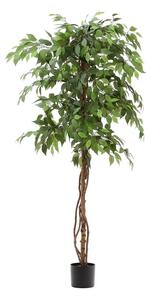Umjetni fikus (visina 180 cm) Ficus – Kave Home