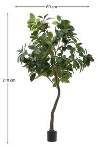 Umjetni fikus (visina 210 cm) Ficus – Kave Home