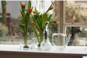 Stakleni čajnik za cvijeće Esschert Design Clear, 1,5 l