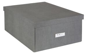 Kutija za pohranu s poklopcem Katrin – Bigso Box of Sweden