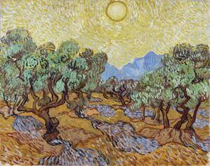 Reprodukcija Olive Trees (1889), Vincent van Gogh