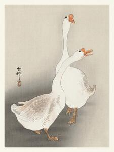 Reprodukcija Two Geese (Japandi Vintage) - Ohara Koson, (30 x 40 cm)