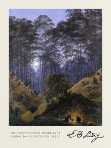 Reprodukcija umjetnosti The Forest under Moonlight (Vintage Fantasy Landscape) - Casper David Friedrich, (30 x 40 cm)