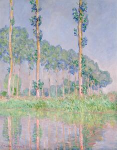 Reprodukcija Poplars, Pink Effect (1891), Claude Monet