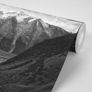 Fototapeta planinska panorama u crno-bijelom