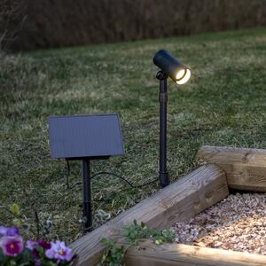 STAR TRADING Powerspot 53 cm LED solarni reflektor, 250 lm, crni, s klinom za tlo, Crno, Plastika, Vanjski reflektor/šiljak za tlo