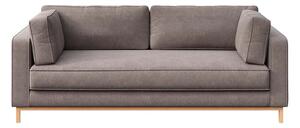 Svjetlo smeđa baršunasti sofa 222 cm Celerio – Ame Yens