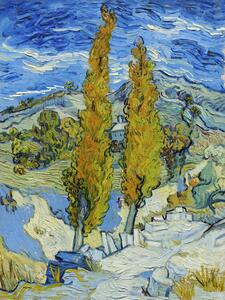 Reprodukcija The Poplars at Saint-Rémy (1889), Vincent van Gogh