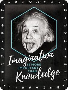 Metalni znak Einstein Imagination & Knowledge, (15 x 20 cm)