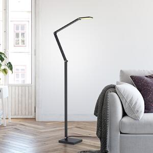Paul Neuhaus LED podna lampa SAMSKY, siva, visina 161 cm, metal, prigušivač na dodir, prigušiva, Sivo, Dnevni boravak/blagovaonica, Aluminij
