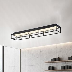 Paul Neuhaus SKINA LED stropna svjetiljka, crna, 112 cm, CCT prigušivanje, daljinski, prigušiva, Crno, Dnevni boravak/blagovaonica, Metal
