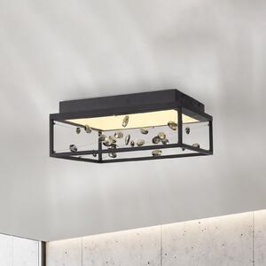 Paul Neuhaus SKINA LED stropna svjetiljka, crna, 40 cm, CCT dimabilna, daljinski upravljač, prigušiva, Crno, Dnevni boravak/blagovaonica, Metal